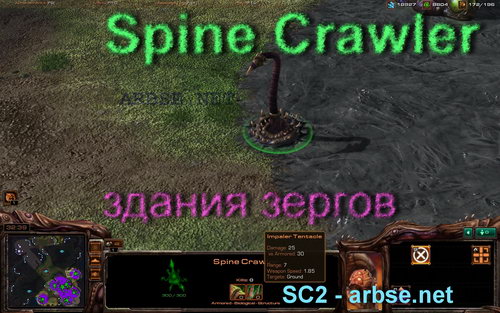 Spine Crawler – здание зергов StarCraft 2