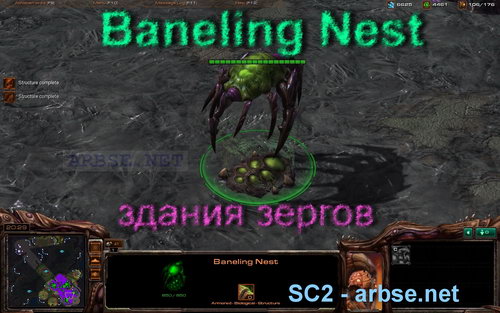 Baneling Nest – здание зергов StarCraft 2