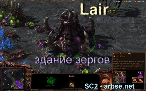 Lair – здание зергов StarCraft 2