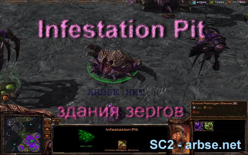 Infestation Pit – здание зергов StarCraft 2