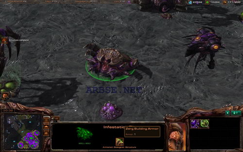 Infestation Pit !