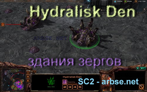 Hydralisk Den – здание зергов StarCraft 2