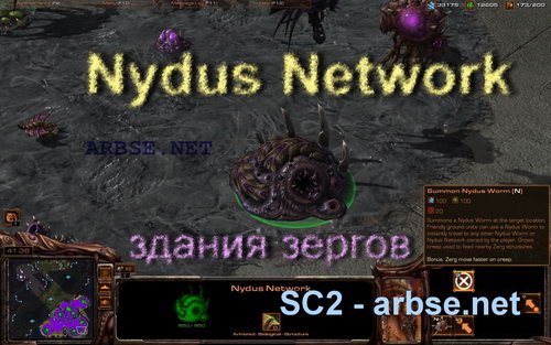 Nydus Network – здание зергов StarCraft 2