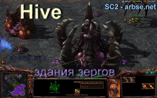 Hive    StarCraft 2