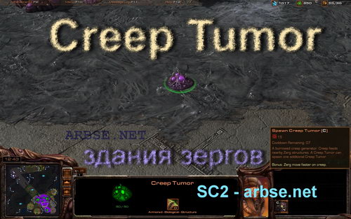 Creep Tumor – здание зергов StarCraft 2