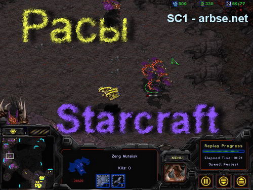 Расы Starcraft на arbse.net