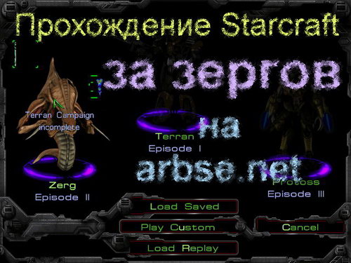       Starcraft