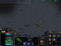  StarCraft