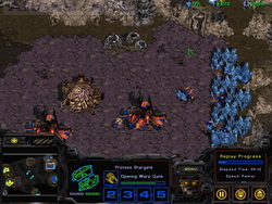  StarCraft