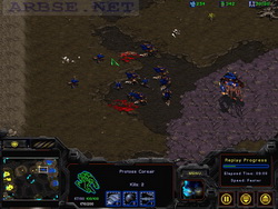  StarCraft