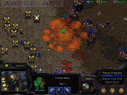  StarCraft