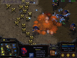  StarCraft