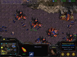  StarCraft