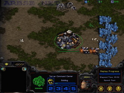  StarCraft