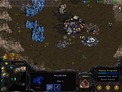  StarCraft