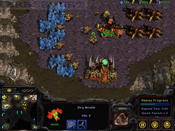  StarCraft