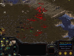  StarCraft