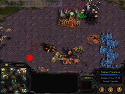  StarCraft