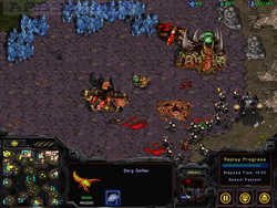  StarCraft