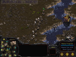  StarCraft