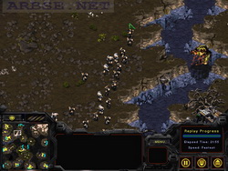  StarCraft