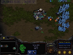  StarCraft