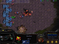  StarCraft