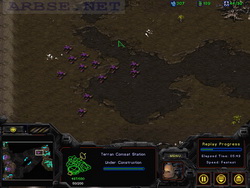  StarCraft