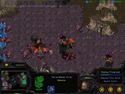  StarCraft