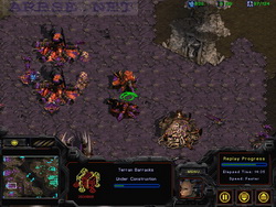  StarCraft