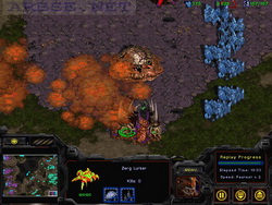  StarCraft