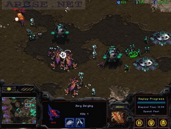  StarCraft