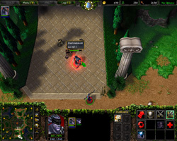 Warcraft 3: TFT.