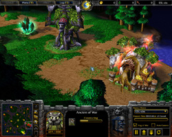 Warcraft 3: TFT.