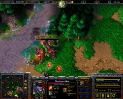 Warcraft 3: TFT.