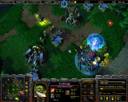 Warcraft 3: TFT.