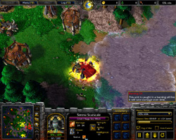 Warcraft 3: TFT.