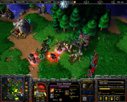 Warcraft 3: TFT