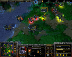 Warcraft 3: TFT.