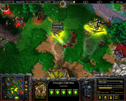 Warcraft 3: TFT