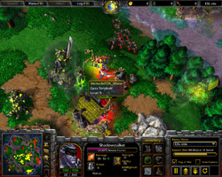 Warcraft 3: TFT