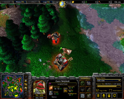 Warcraft 3: TFT.