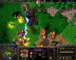 Warcraft 3: TFT