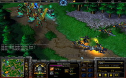    Warcraft 3  ?