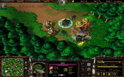 Важны ли герои в стратегии Warcraft 3?