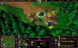      Warcraft 3?