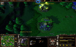 Что такое нычка в Warcraft 3?