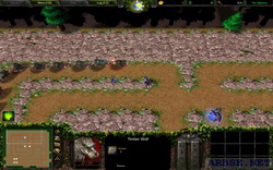  tower defense  warcraft 3