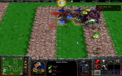  tower defense  warcraft 3