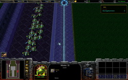  tower defense  warcraft 3